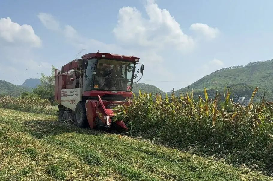 沃得輪式玉米機升級優化來襲！性能再突破！