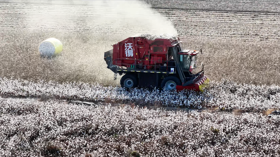 “價優+質優”！沃得采棉機重塑新疆棉區采收生態
